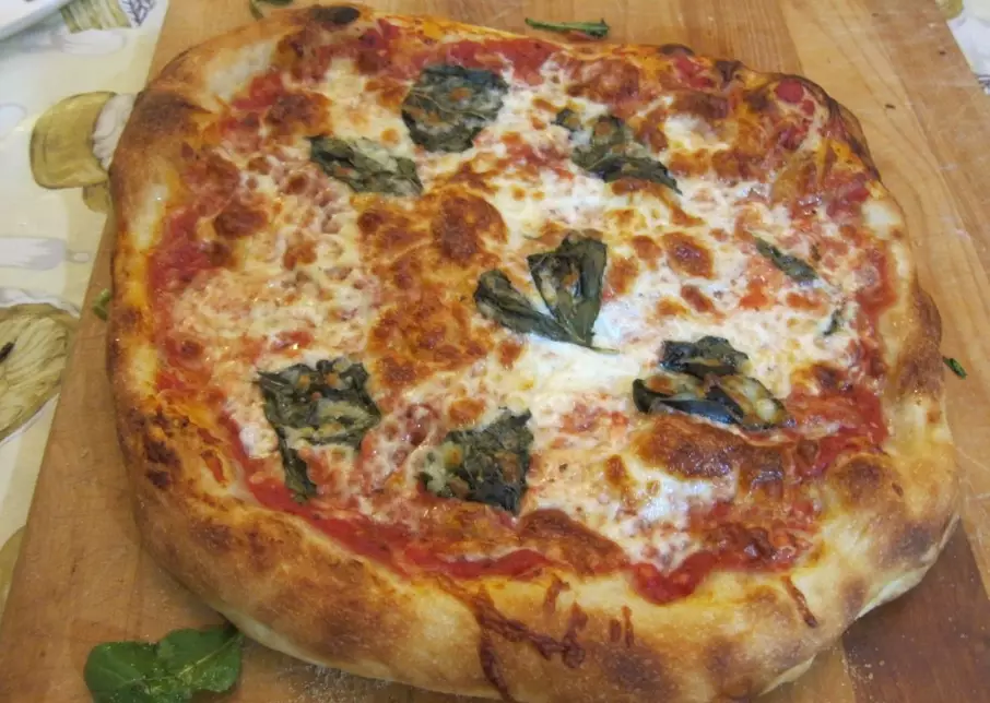 italian pizza dough recipe
