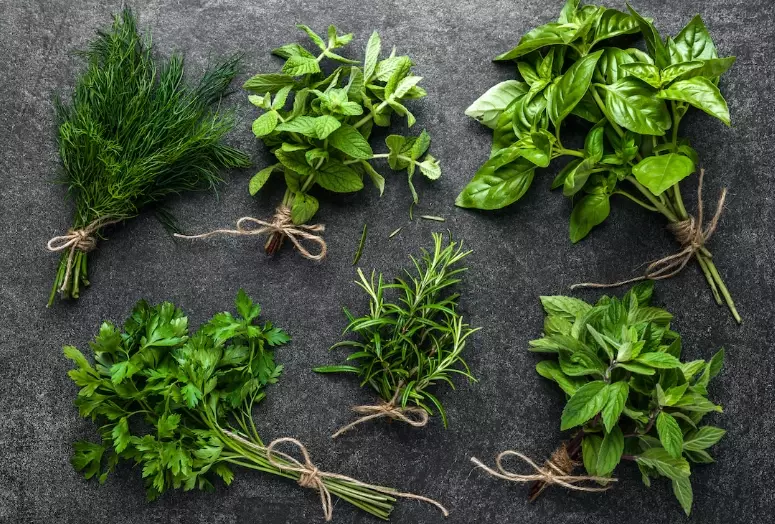 how to use Italian spices how to use Italian spices