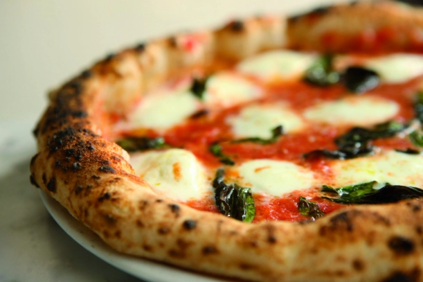 homemade pizza dough recipe